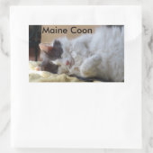 Schlafen Maine Coon Cat Sticker (Tasche)