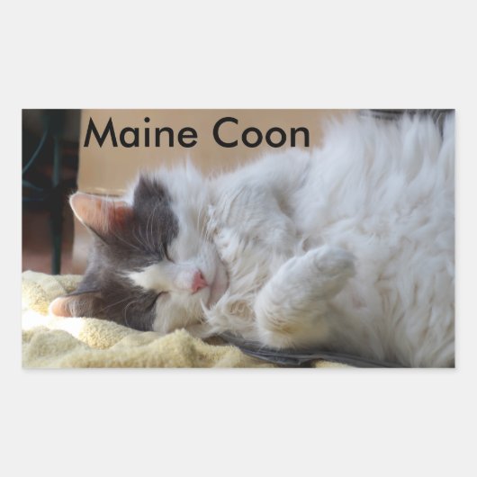 Schlafen Maine Coon Cat Sticker (Vorderseite)