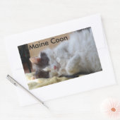Schlafen Maine Coon Cat Sticker (Umschlag)