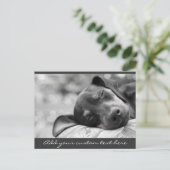 Schlafen Miniatur Pinscher Hund Postkarte (Stehend Vorderseite)