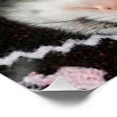 Schlafen mit Frettchen und Katzen Poster (Ecke)