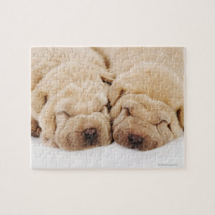 Schlafen mit zwei Shar Pei Welpen Puzzle