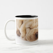 Schlafen mit zwei Shar Pei Welpen Zweifarbige Tasse (Links)
