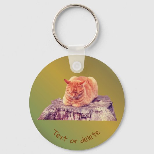 Schlafen Orange Tabby Cat Tier Personalisiert Schlüsselanhänger (Rückseite)