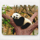 Schlafen Panda Baby Mouse Pad Mousepad (Vorne)