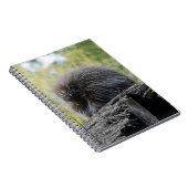 Schlafen Porcupine-Notebook Notizblock (Rechte Seite)