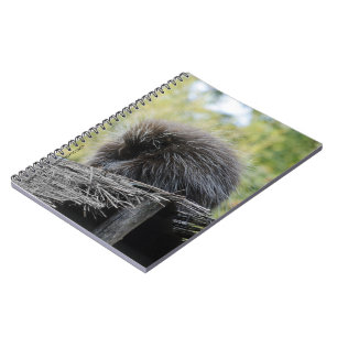 Schlafen Porcupine-Notebook Notizblock