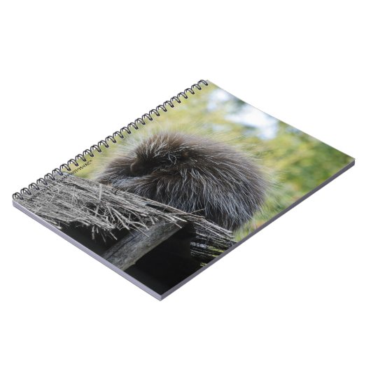 Schlafen Porcupine-Notebook Notizblock (Linke Seite)