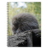 Schlafen Porcupine-Notebook Notizblock (Vorderseite)