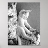 Schlafen Poster (Vorne)