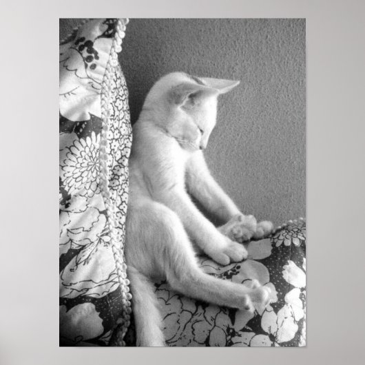 Schlafen Poster (Vorne)