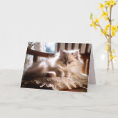 Schlafen Ragdoll Kitten wird bald gut Karte (Gelbe Blume)