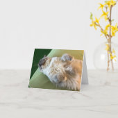 Schlafen Ragdoll Kitty Get Well card Karte (Gelbe Blume)