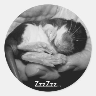 Schlafen Rattie Sticker