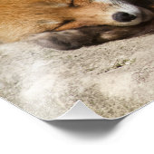 Schlafen Red Fox Fotodruck (Ecke)