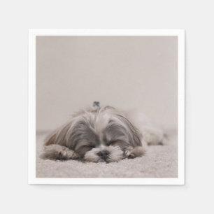 Schlafen Shih tzu Cocktail-Servietten, Serviette