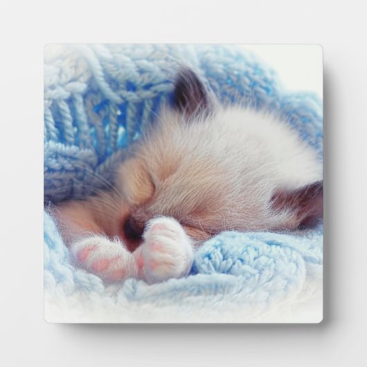 Schlafen Siamese Kitten Paws Fotoplatte (Vorderseite)