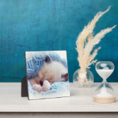 Schlafen Siamese Kitten Paws Fotoplatte (InSitu)