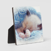 Schlafen Siamese Kitten Paws Fotoplatte (Vorderseite)