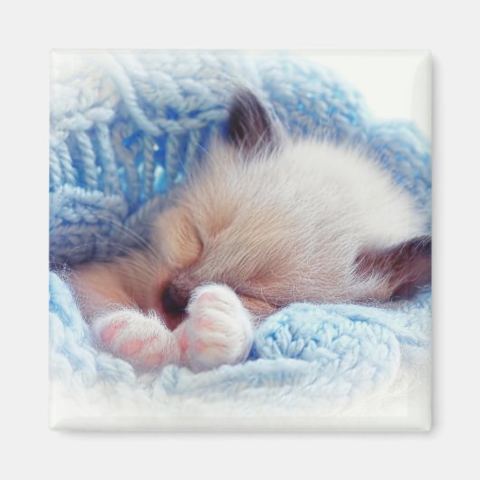 Schlafen Siamese Kitten Paws Magnet (Vorne)