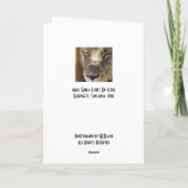 Schlafen Simba (Löwe) Karte (Rückseite)