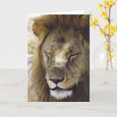 Schlafen Simba (Löwe) Karte (Gelbe Blume)