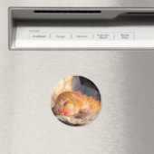 Schlafen, süße Kitty Magnet (In Situ (Geschirrspüler))