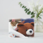 Schlafen Tabby Teddy Bear Postkarte (Stehend Vorderseite)
