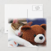 Schlafen Tabby Teddy Bear Postkarte (Vorne/Hinten)