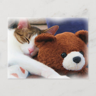 Schlafen Tabby Teddy Bear Postkarte