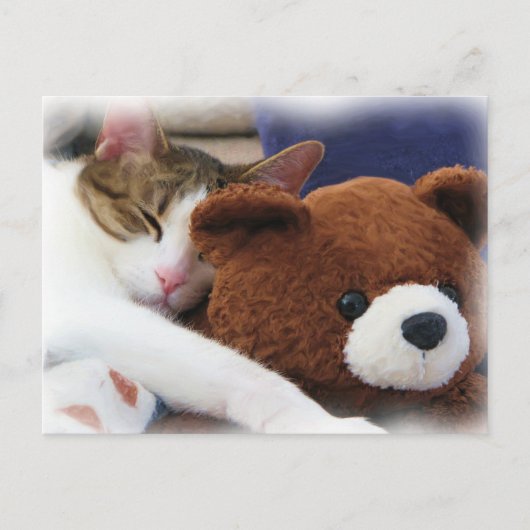Schlafen Tabby Teddy Bear Postkarte (Vorderseite)