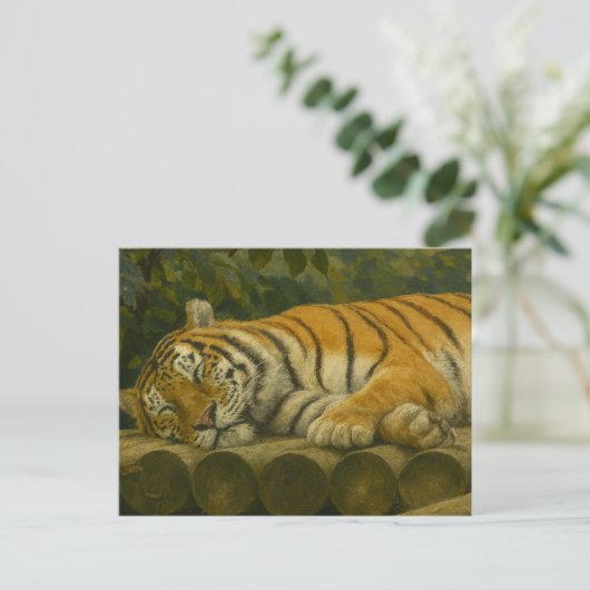 Schlafen Tiger auf Holzfällern Postkarte (Stehend Vorderseite)