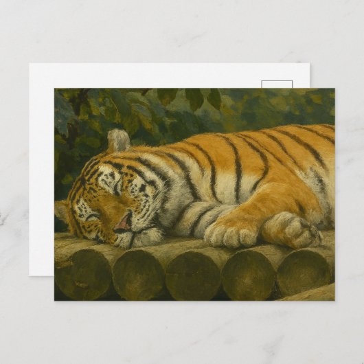 Schlafen Tiger auf Holzfällern Postkarte (Vorne/Hinten)