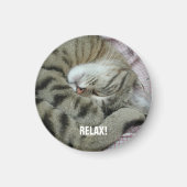 Schlafen Tiger-Cat Magnet (Vorne)