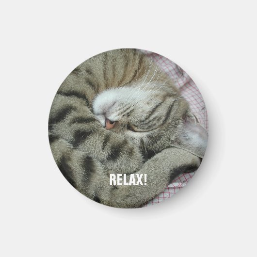 Schlafen Tiger-Cat Magnet (Vorne)