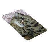 Schlafen Tiger-Cat Magnet (Rechte Seite)
