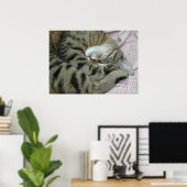 Schlafen Tiger-Cat Poster (Heimbüro)