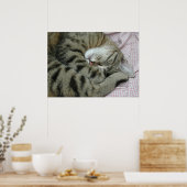 Schlafen Tiger-Cat Poster (Küche)