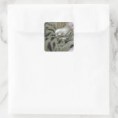 Schlafen Tiger-Cat Quadratischer Aufkleber (Tasche)