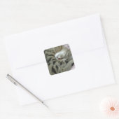 Schlafen Tiger-Cat Quadratischer Aufkleber (Umschlag)