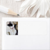 Schlafen Tuxedo Cat Address Labels (Insitu)