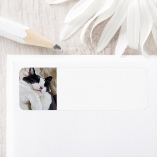 Schlafen Tuxedo Cat Address Labels (Insitu)
