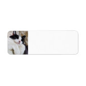Schlafen Tuxedo Cat Address Labels (Vorne)