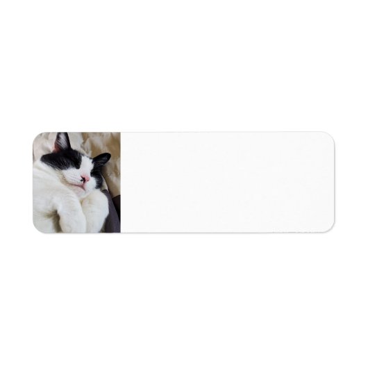 Schlafen Tuxedo Cat Address Labels (Vorne)