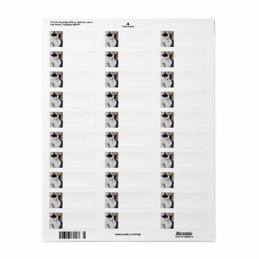 Schlafen Tuxedo Cat Address Labels (Vorne)