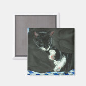 Schlafen Tuxedo Cat Magnet (Vorderseite/Rückseite)