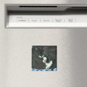 Schlafen Tuxedo Cat Magnet (In Situ (Geschirrspüler))
