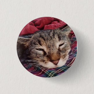 Schlafen Weihnachtskatze Tabby karierte Flanellrot Button