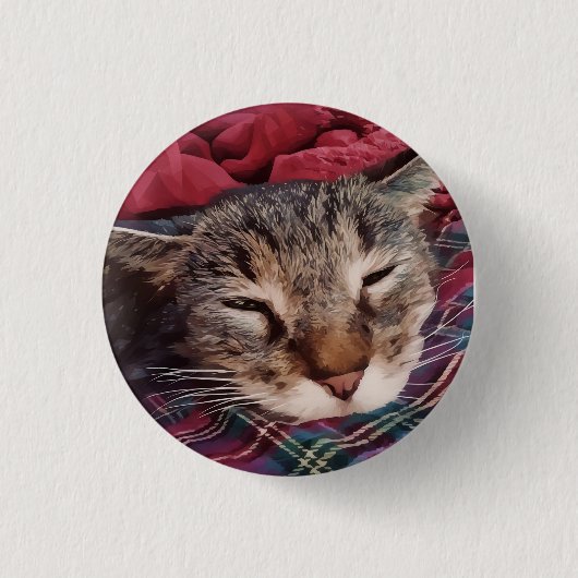 Schlafen Weihnachtskatze Tabby karierte Flanellrot Button (Vorderseite)