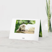 Schlafen Weiße Katze Geburtstag Karte (Rückseite)